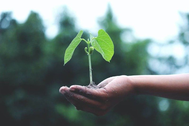 Protege al medio ambiente